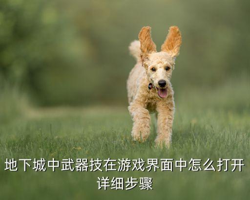 地下城中武器技在游戏界面中怎么打开详细步骤