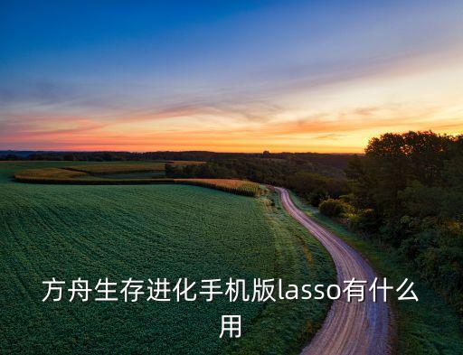 方舟生存进化手机版lasso有什么用