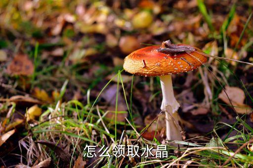 放置江湖手游怎么获得水晶，怎样获得水晶