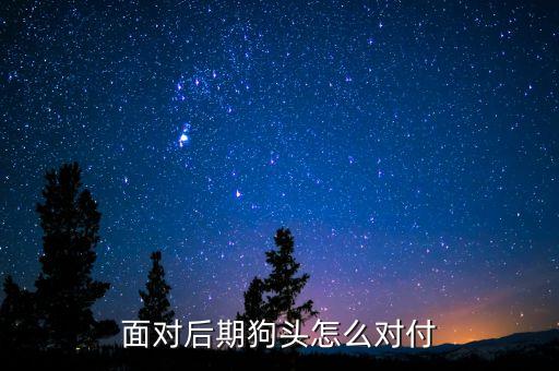 面对后期狗头怎么对付
