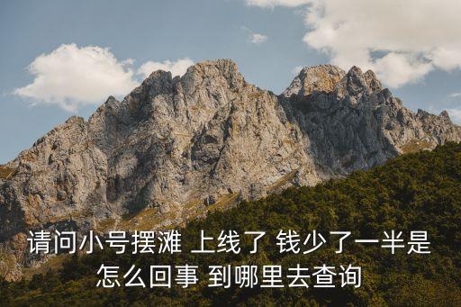 请问小号摆滩 上线了 钱少了一半是怎么回事 到哪里去查询