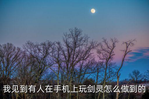 我见到有人在手机上玩剑灵怎么做到的
