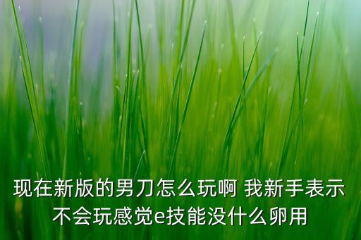 现在新版的男刀怎么玩啊 我新手表示不会玩感觉e技能没什么卵用
