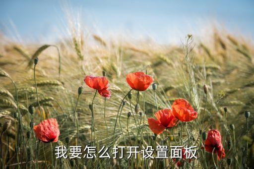 英雄联盟手游面板操作怎么设置，英雄联盟在游戏里控制面板怎么打开
