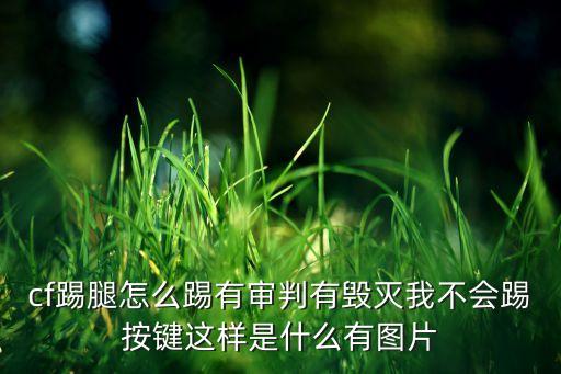cf手游用手柄怎么踢腿，cf踢腿怎么踢有审判有毁灭我不会踢按键这样是什么有图片