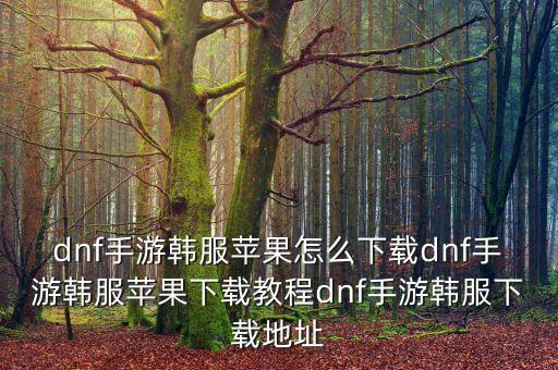 dnf手游韩服苹果怎么下载dnf手游韩服苹果下载教程dnf手游韩服下载地址