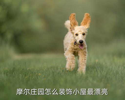 摩尔庄园怎么装饰小屋最漂亮
