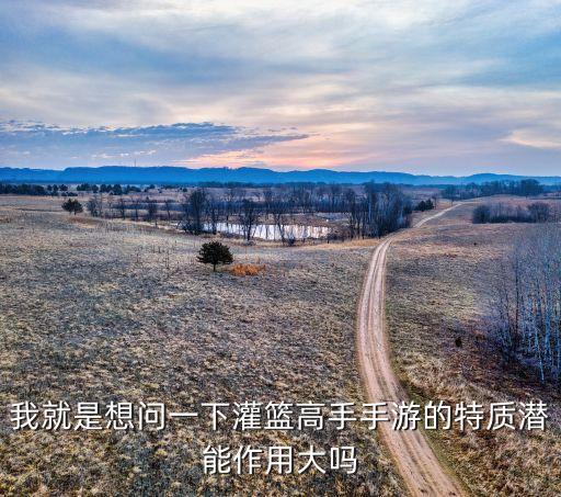 灌篮高手手游怎么设置潜能，装备的潜能怎么开启啊点放大镜没用啊