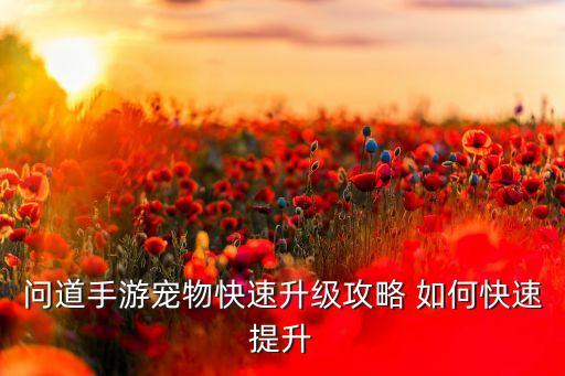 问道手游宠物快速升级攻略 如何快速提升