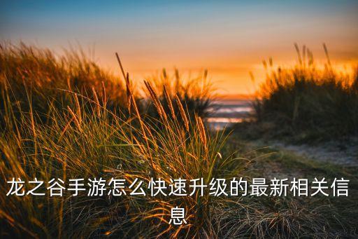 龙之谷手游怎么快速升级的最新相关信息
