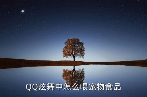 QQ炫舞中怎么喂宠物食品