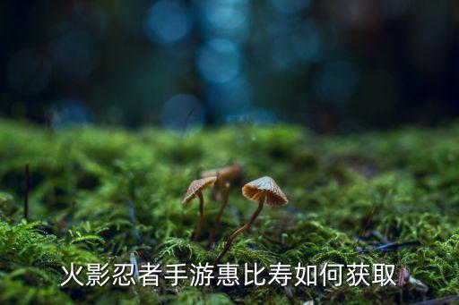 火影忍者手游惠比寿如何获取