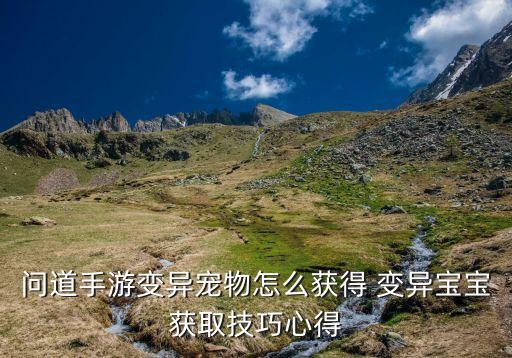 问道手游变异宠物怎么获得 变异宝宝获取技巧心得