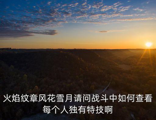 火焰纹章风花雪月请问战斗中如何查看每个人独有特技啊