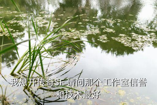 我想开传奇SF 请问那个工作室信誉和技术最好