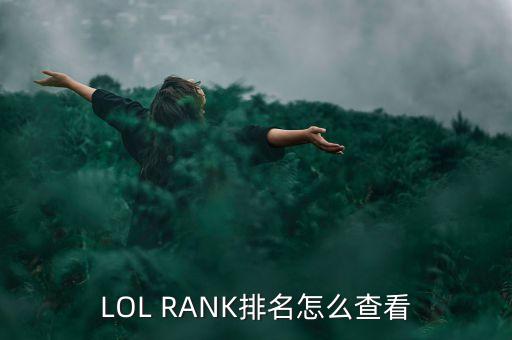 LOL RANK排名怎么查看