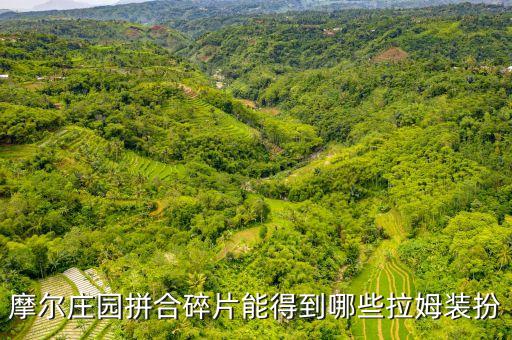 摩尔庄园拼合碎片能得到哪些拉姆装扮