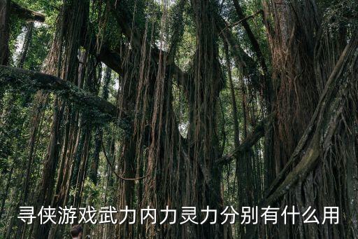 寻侠游戏武力内力灵力分别有什么用