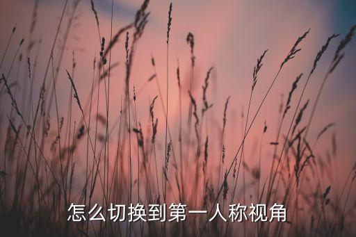 怎么切换到第一人称视角
