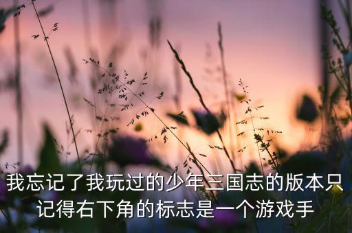 我忘记了我玩过的少年三国志的版本只记得右下角的标志是一个游戏手