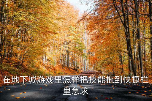 在地下城游戏里怎样把技能拖到快捷栏里急求
