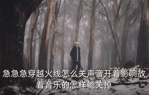 急急急穿越火线怎么关声音开着影响放着音乐的怎样能关掉