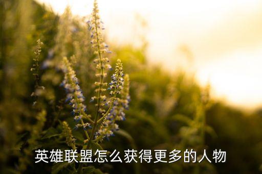 英雄联盟怎么获得更多的人物