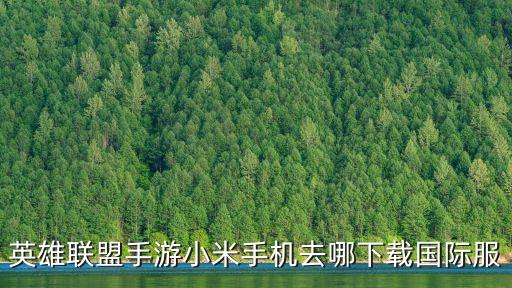 英雄联盟手游小米手机去哪下载国际服