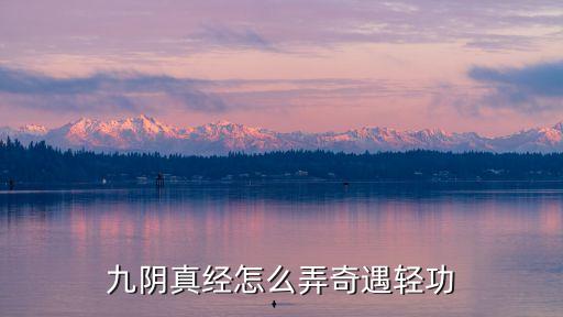 九阴真经怎么弄奇遇轻功