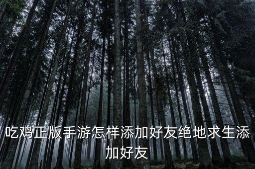 吃鸡正版手游怎样添加好友绝地求生添加好友