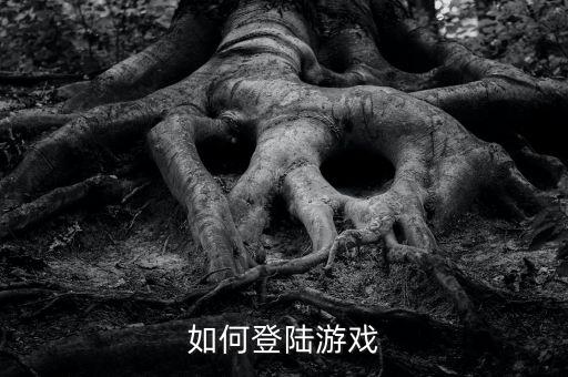 如何登陆游戏