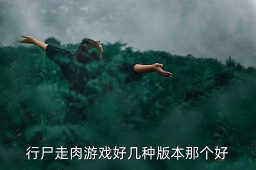 行尸走肉游戏好几种版本那个好
