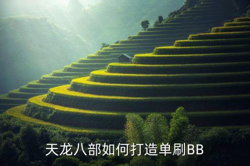 天龙八部如何打造单刷BB