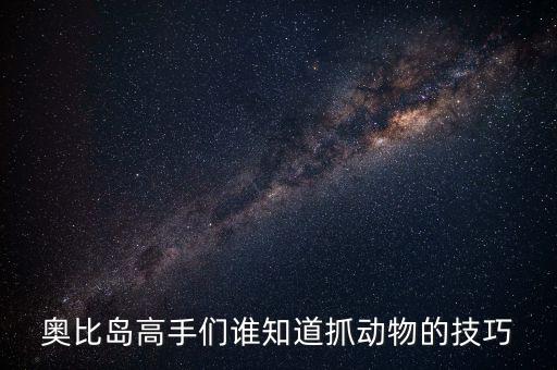手游奥比岛怎么样抓宠物，奥比岛怎么捕捉宠物