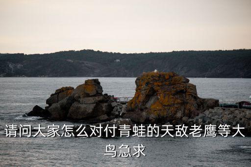 请问大家怎么对付青蛙的天敌老鹰等大鸟急求