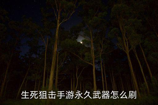 生死狙击手游永久武器怎么刷