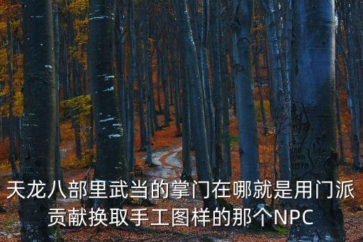 天龙八部里武当的掌门在哪就是用门派贡献换取手工图样的那个NPC
