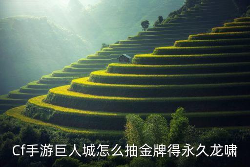 Cf手游巨人城怎么抽金牌得永久龙啸