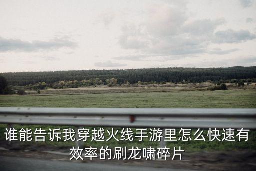 谁能告诉我穿越火线手游里怎么快速有效率的刷龙啸碎片