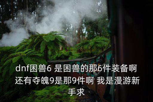 dnf困兽6 是困兽的那6件装备啊 还有夺魄9是那9件啊 我是漫游新手求