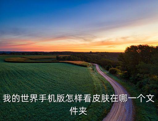 我的世界手机版怎样看皮肤在哪一个文件夹