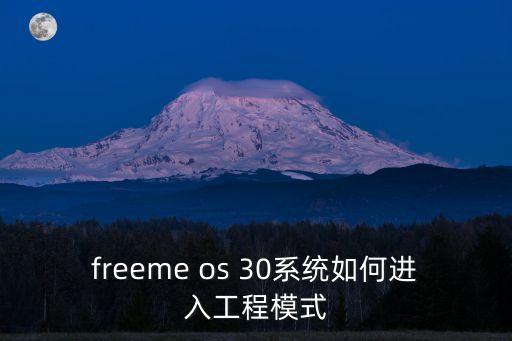 apexios手游怎么进去，freeme os 30系统如何进入工程模式