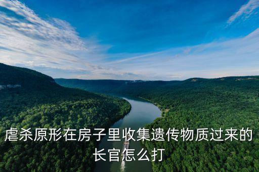 虐杀原形在房子里收集遗传物质过来的长官怎么打