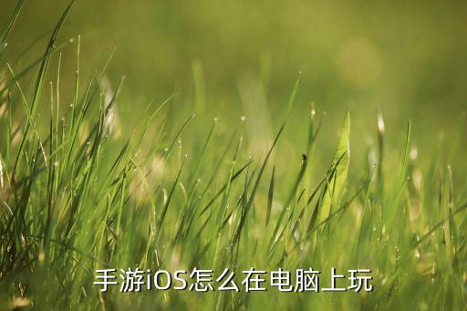 手游iOS怎么在电脑上玩