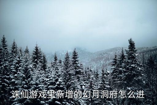 诛仙游戏里新增的幻月洞府怎么进