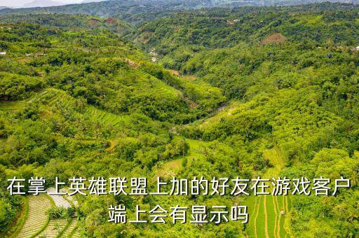 在掌上英雄联盟上加的好友在游戏客户端上会有显示吗