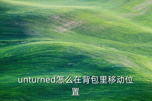 unturned怎么在背包里移动位置