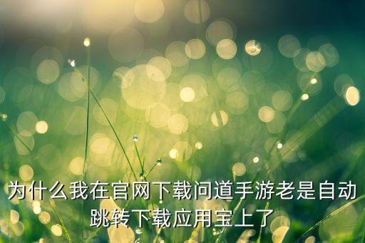 为什么我在官网下载问道手游老是自动跳转下载应用宝上了