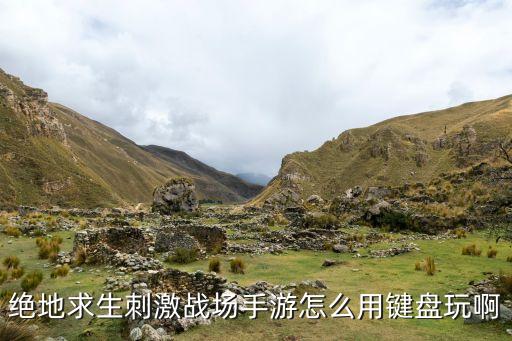 绝地求生刺激战场手游怎么用键盘玩啊