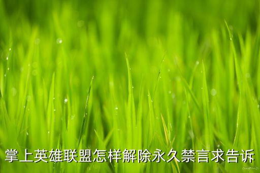 掌上英雄联盟怎样解除永久禁言求告诉